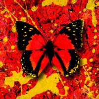 Thumbnail for the Ed Sheeran - 2step link, provided by host site