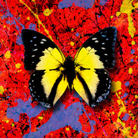 Thumbnail for the Ed Sheeran - 2step link, provided by host site