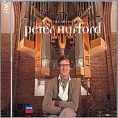 Thumbnail for the Peter Hurford - 3. Allegro link, provided by host site