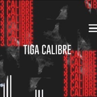 Thumbnail for the Fun - 3 Calibre link, provided by host site