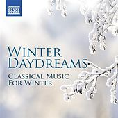 Thumbnail for the The Bridge String Quartet - 3 Winter Poems: No. 3. Serenade, "Snow Shower" link, provided by host site