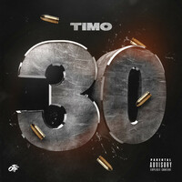 Thumbnail for the Timo - 30 link, provided by host site