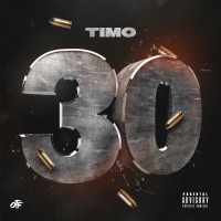 Thumbnail for the Timo - 30 link, provided by host site
