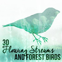 Thumbnail for the f(x) - 30 Flowing Streams and Forest Birds link, provided by host site