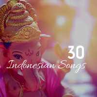 Thumbnail for the Child Synesthesia - 30 Indonesian Songs - Collection of Ethnic Music from Asia, the Most Relaxing Sounds for Sleep, Relaxation, Meditation & Yoga link, provided by host site