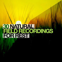 Thumbnail for the Natural Sounds - 30 Natural Field Recordings For Rest link, provided by host site