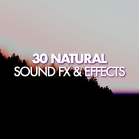 Thumbnail for the f(x) - 30 Natural Sound FX & Effects link, provided by host site
