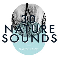 Thumbnail for the f(x) - 30 Nature Sounds: Peaceful Forest link, provided by host site