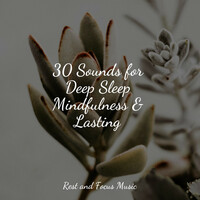Thumbnail for the Massage - 30 Sounds for Deep Sleep Mindfulness & Lasting link, provided by host site