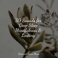 Thumbnail for the Massage - 30 Sounds for Deep Sleep Mindfulness & Lasting link, provided by host site