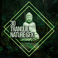Thumbnail for the f(x) - 30 Tranquil Nature SFX link, provided by host site