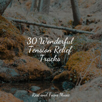 Thumbnail for the Música relaxante - 30 Wonderful Tension Relief Tracks link, provided by host site