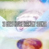 Thumbnail for the The Rest - 31 Guest House Harmony Sounds link, provided by host site