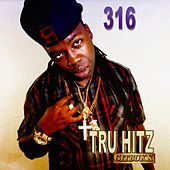 Thumbnail for the 316 - 316 link, provided by host site