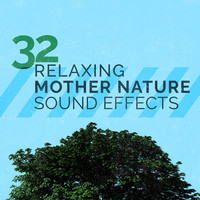 Thumbnail for the f(x) - 32 Relaxing Mother Nature Sound Effects link, provided by host site