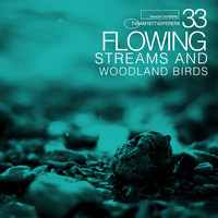 Thumbnail for the f(x) - 33 Flowing Streams and Woodland Birds link, provided by host site