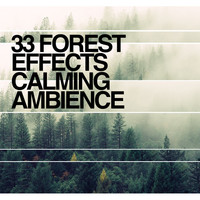 Thumbnail for the f(x) - 33 Forest Effects: Calming Ambience link, provided by host site
