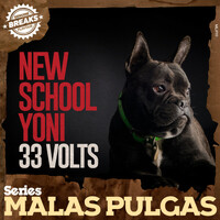 Thumbnail for the New School Yoni - 33 Volts link, provided by host site