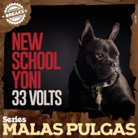 Thumbnail for the New School Yoni - 33 Volts link, provided by host site