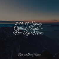 Thumbnail for the Deep Sleep Meditation - #35 35 Spring Chillout Tracks - New Age Music link, provided by host site