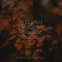 Thumbnail for the Music For Absolute Sleep - 35 Guided Meditation Relaxation Tracks link, provided by host site