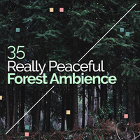 Thumbnail for the f(x) - 35 Really Peaceful Forest Ambience link, provided by host site