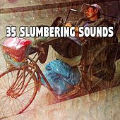 Thumbnail for the The Rest - 35 Slumbering Sounds link, provided by host site