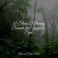 Thumbnail for the Massage Tribe - 35 Stress Relieving Sounds for Yoga or Spa link, provided by host site