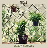 Thumbnail for the Chancha Via Circuito - @360musiclab, Vol. 1: Tikal 360 link, provided by host site