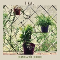Thumbnail for the Chancha Via Circuito - @360musiclab, Vol. 1: Tikal 360 link, provided by host site