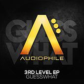 Thumbnail for the Guess What - 3rd Level link, provided by host site