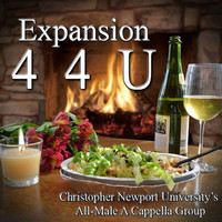 Thumbnail for the Expansion - 4 4 U link, provided by host site