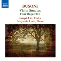 Thumbnail for the Benjamin Loeb - 4 Bagatelles, Op. 28: No. 1. Aus Der Zopfzeit link, provided by host site
