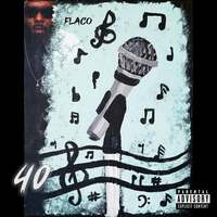 Thumbnail for the Flaco - 40 link, provided by host site