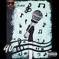 Thumbnail for the Flaco - 40 link, provided by host site