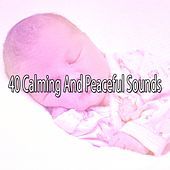 Thumbnail for the The Rest - 40 Calming And Peaceful Sounds link, provided by host site
