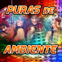 Thumbnail for the Concepto - 40 Grados - Puras De Ambiente link, provided by host site