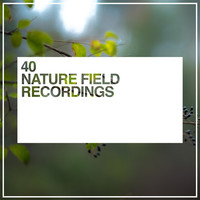 Thumbnail for the Soothing Sounds - 40 Nature Field Recordings link, provided by host site
