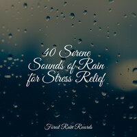 Thumbnail for the Nursery Rhymes - 40 Serene Sounds of Rain for Stress Relief link, provided by host site