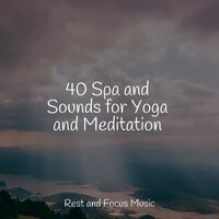 Thumbnail for the White Noise For Baby Sleep - 40 Spa and Sounds for Yoga and Meditation link, provided by host site