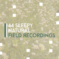 Thumbnail for the Sleep Sounds of Nature - 44 Sleepy Natural Field Recordings link, provided by host site