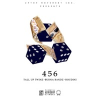 Thumbnail for the Burna Bandz - 456 link, provided by host site