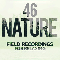 Thumbnail for the Sleep Sounds of Nature - 46 Nature Field Recordings For Relaxing link, provided by host site
