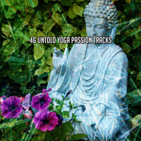 Thumbnail for the Asian Zen Meditation - 46 Untold Yoga Passion Tracks link, provided by host site