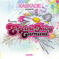 Thumbnail for the Kaskade - 4AM link, provided by host site