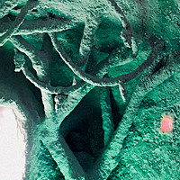 Image of Nosferatu linking to their artist page due to link from them being at the top of the main table on this page