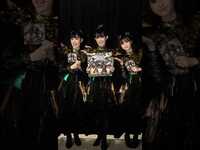 Thumbnail for the BABYMETAL - 5 DAYS 'til METAL FORTH link, provided by host site