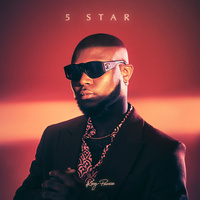 Thumbnail for the King Promise - 5 Star link, provided by host site