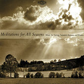 Thumbnail for the English String Orchestra - 5 Variants of ‘Dives and Lazarus’ link, provided by host site