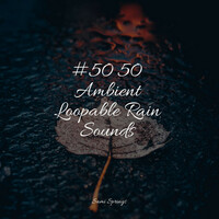 Thumbnail for the Yoga - #50 50 Ambient Loopable Rain Sounds link, provided by host site